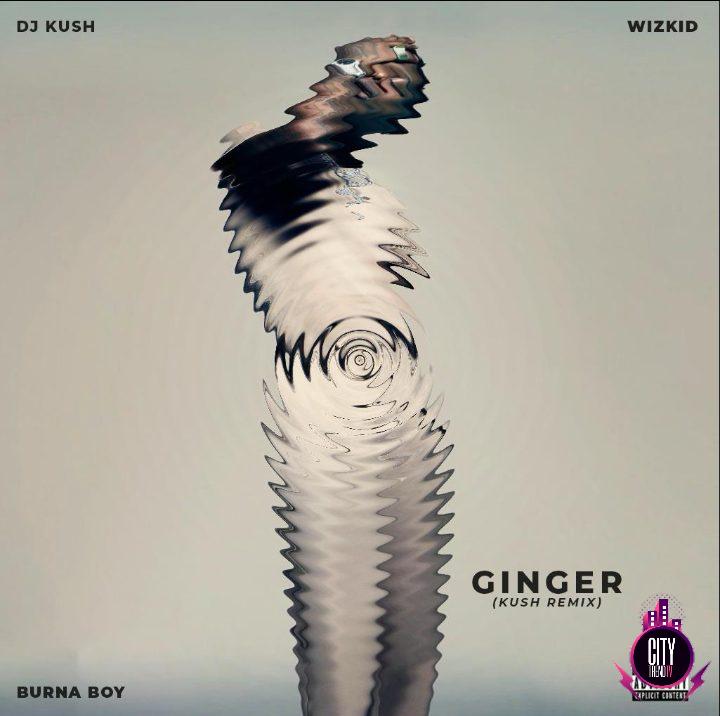 DJ Kush ft. Wizkid Burna Boy — Ginger Kush Remix