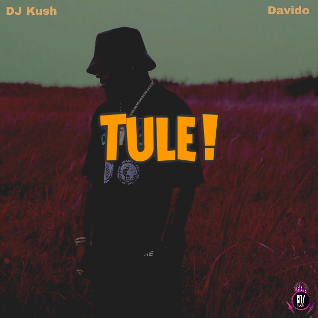 DJ Kush ft. Davido — Tule