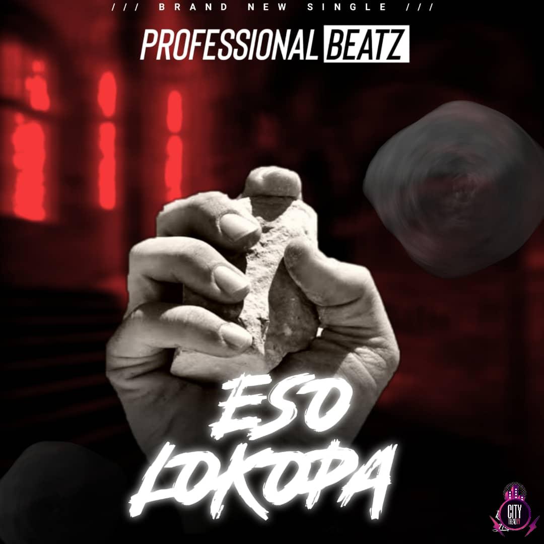 Professional Beatz — Eso Loko Pa