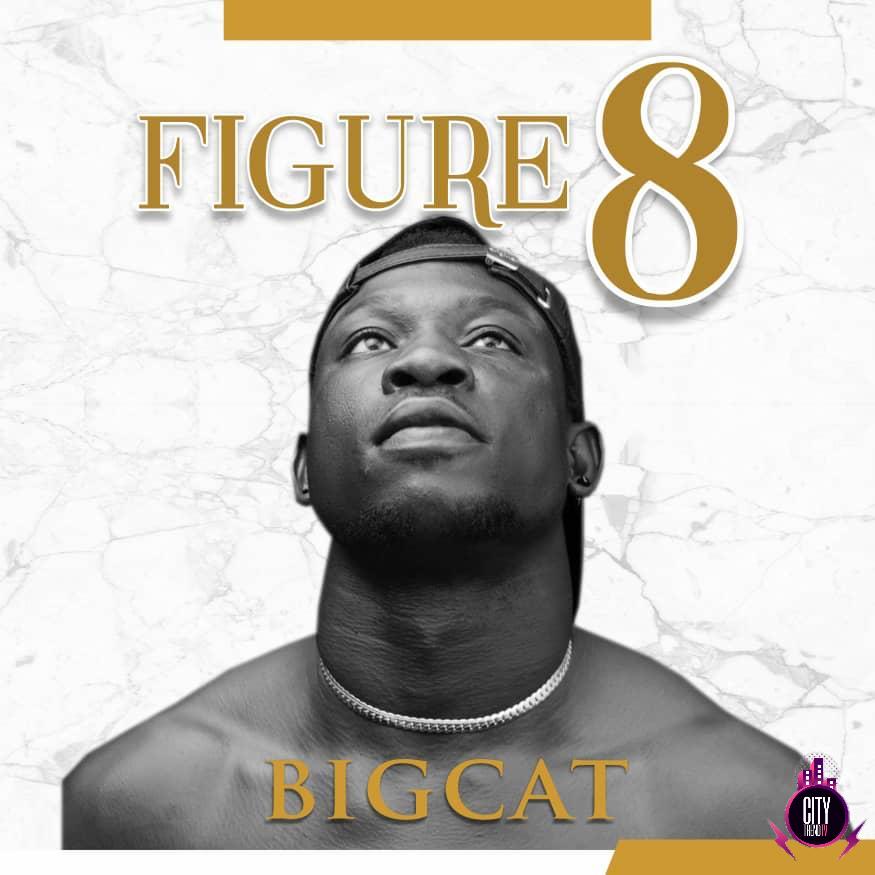 BigCat — Figure 8