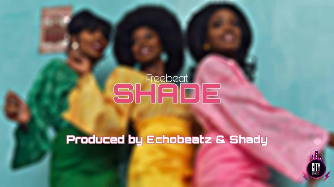 Echobeatz Shady – SHADE Instrumental