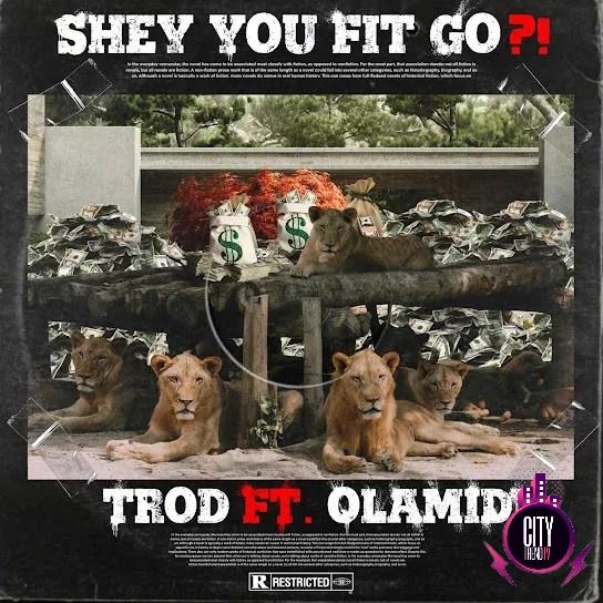 Trod — Shey You Fit Go ft. Olamide