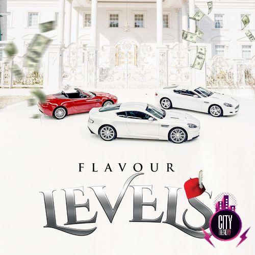 Flavour — Levels