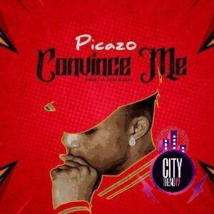 Picazo — Convince Me