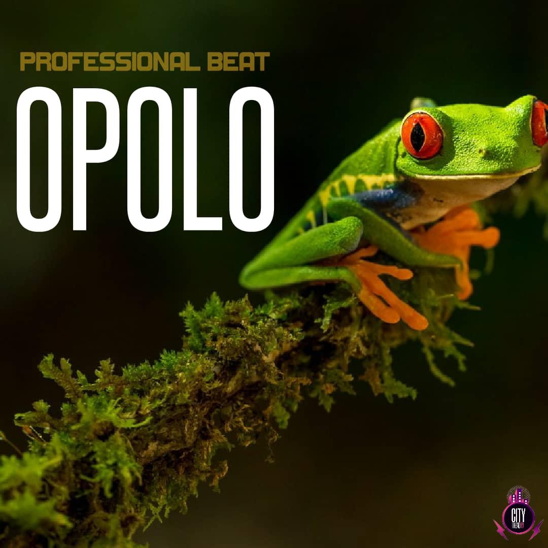 Professional Beat — Opolo Instrumental