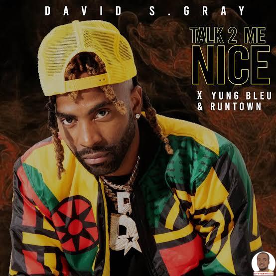 David S Gray — Talk 2 Me Nice ft. Runtown Yung Bleu