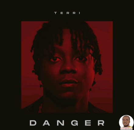 Terri — Danger