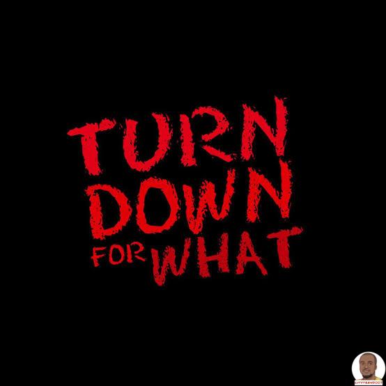 DJ Snake Lil Jon — Turn Down for What
