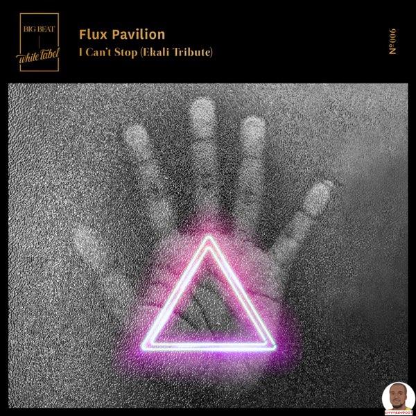 Flux Pavilion — I Cant Stop Ekali Tribute