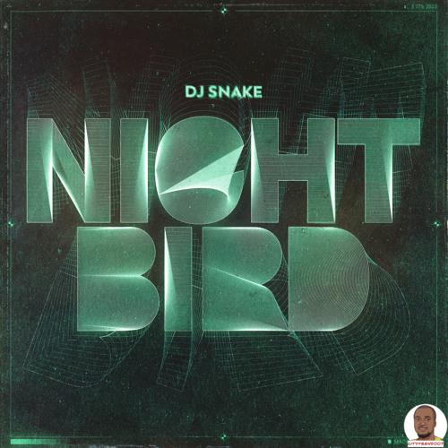 DJ Snake — Nightbird
