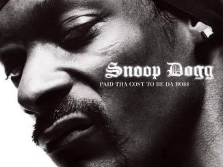 Snoop Dogg ft. Pharrell Williams Uncle Charlie Wilson — Beautiful