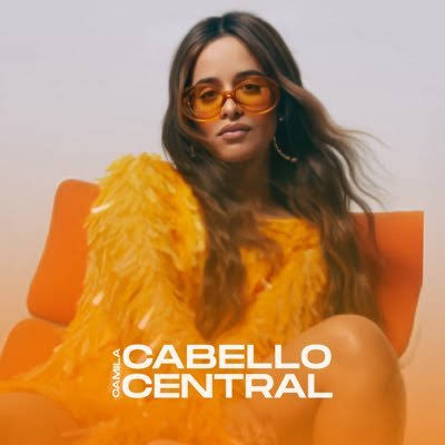 Camila Cabello — Shameless TikTok