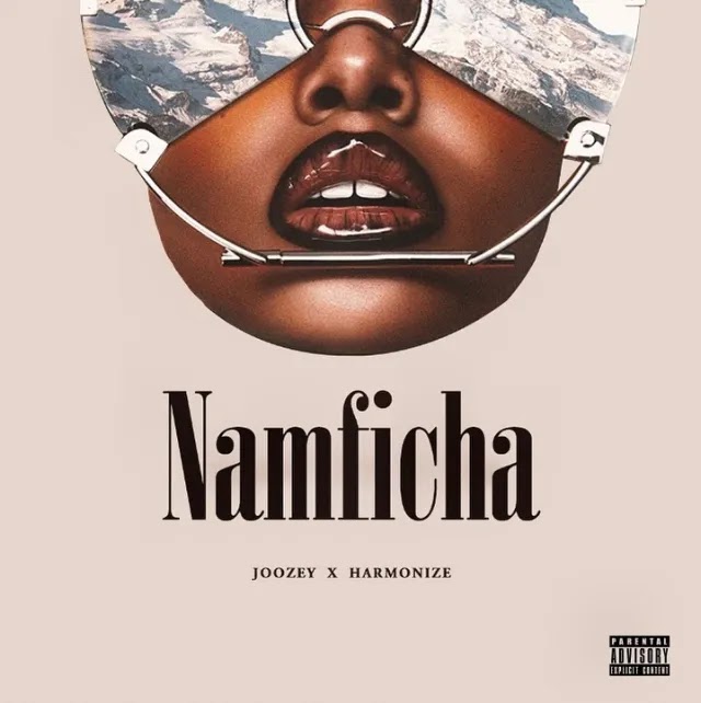 DJ Joozey Harmonize — Namficha