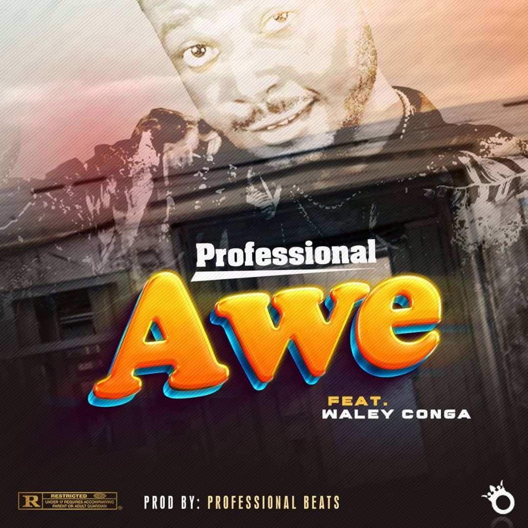 Professional Beat — AWE ft. Walley Conga