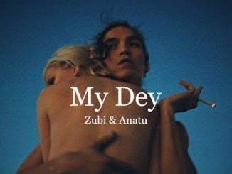 Zubi — My Dey ft. Anatu