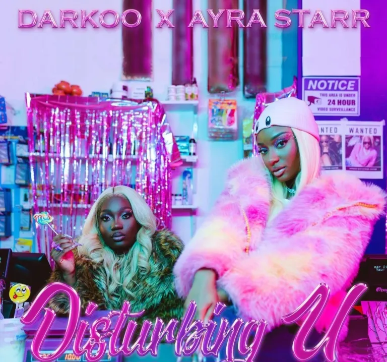 Darkoo Ayra Starr — Disturbing U