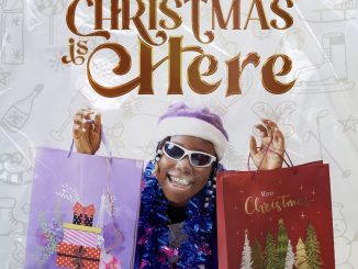Download Palmpay Teni Christmas is Here EP