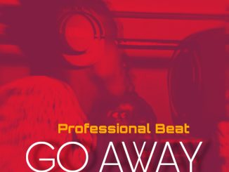 Professional Beat Go Away