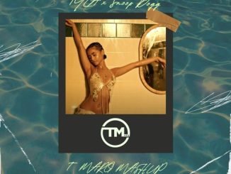 Tyla x Snoop Dogg Sensual Water DJ T Marq Mashup