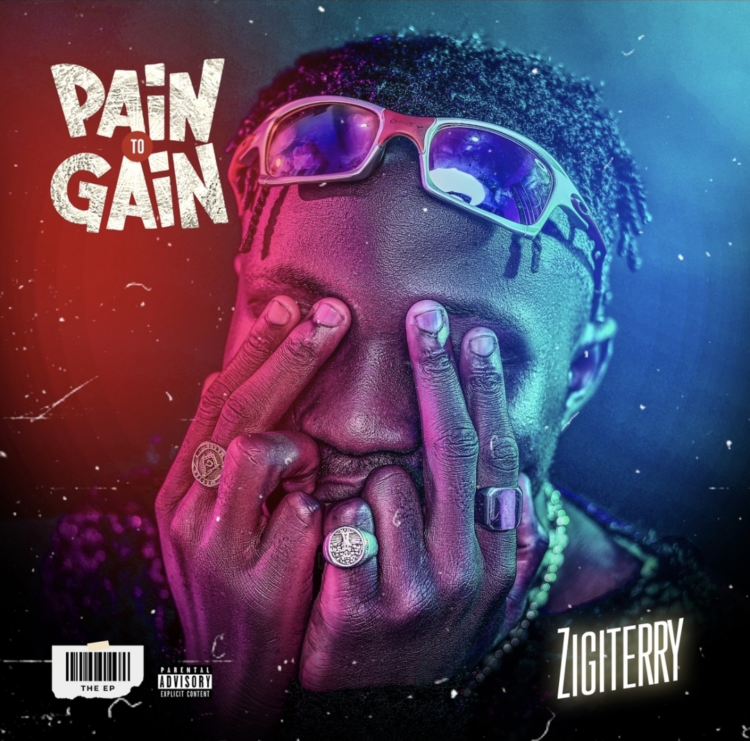 Download Zigiterry Pain To Gain EP